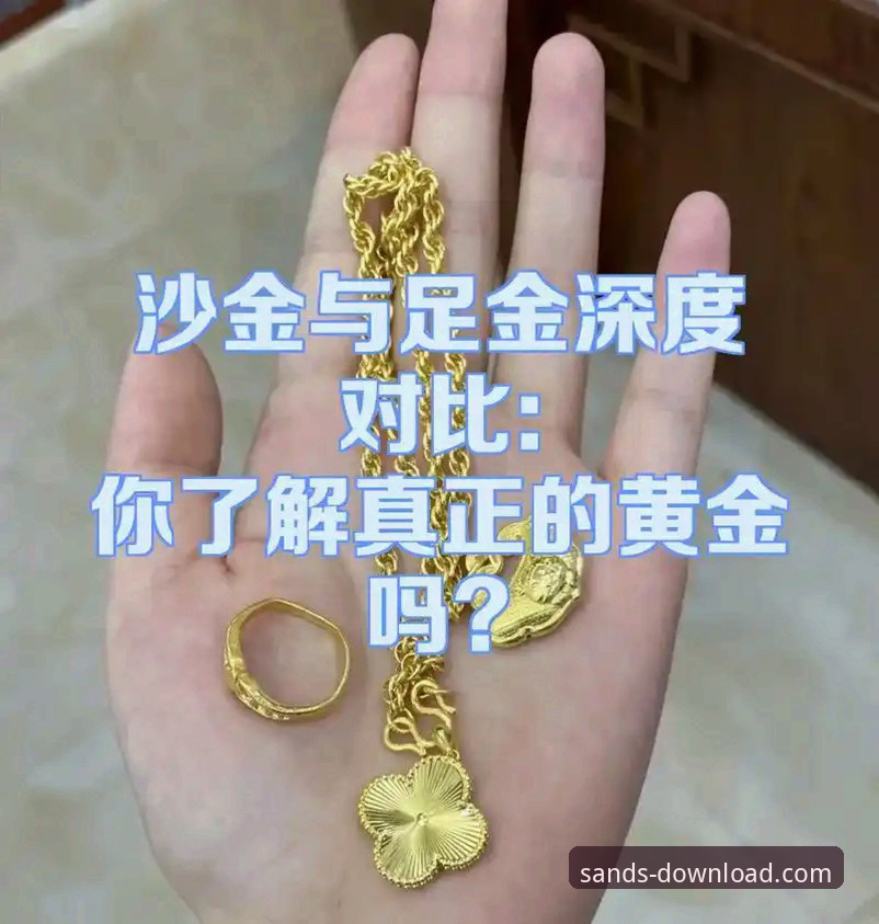 揭秘沙金下载安装对比背后的真相：你不知道的效率革命